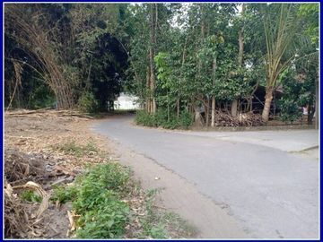 Dijual Rumah Custom Murah Hanya di Prambanan Village II