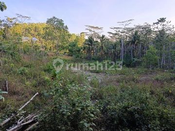 Bebas Banjir, Tanah, SHM, di Pacitan