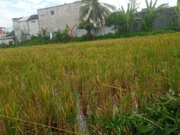 tanah kavling siap bangun dekat kota jember
