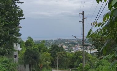 186 Sqm Subdivision Lot for Sale in Vista Grande Phase 1 Talisay Cebu City