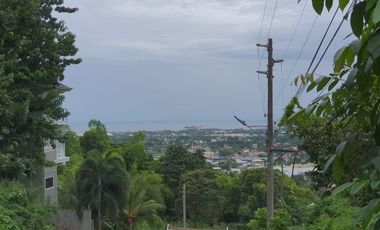186 Sqm Subdivision Lot for Sale in Vista Grande Phase 1 Talisay Cebu City