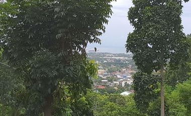 186 Sqm Subdivision Lot for Sale in Vista Grande Phase 1 Talisay Cebu City