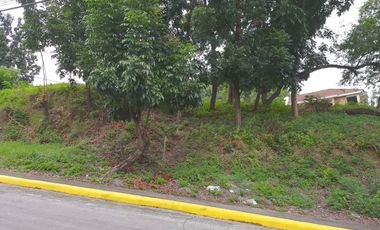 186 Sqm Subdivision Lot for Sale in Vista Grande Phase 1 Talisay Cebu City