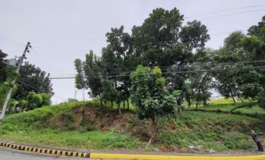 186 Sqm Subdivision Lot for Sale in Vista Grande Phase 1 Talisay Cebu City