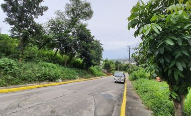 186 Sqm Subdivision Lot for Sale in Vista Grande Phase 1 Talisay Cebu City