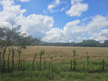 Se Vende Finca de 1750 Hectáreas en Santiago Veraguas