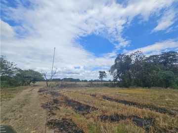 Se Vende Finca de 1750 Hectáreas en Santiago Veraguas