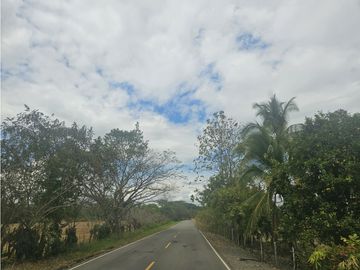 Se Vende Finca de 1750 Hectáreas en Santiago Veraguas