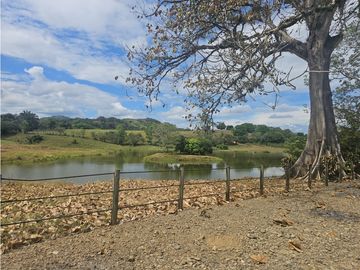 Se Vende Finca de 1750 Hectáreas en Santiago Veraguas