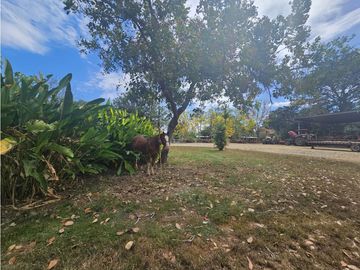 Se Vende Finca de 1750 Hectáreas en Santiago Veraguas