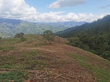 finca en venta en pacora - caldas. Cod V10711