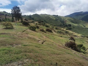 finca en venta en pacora - caldas. Cod V10711