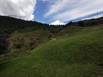 finca en venta en pacora - caldas. Cod V10711