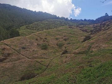 finca en venta en pacora - caldas. Cod V10711