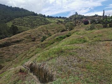 finca en venta en pacora - caldas. Cod V10711
