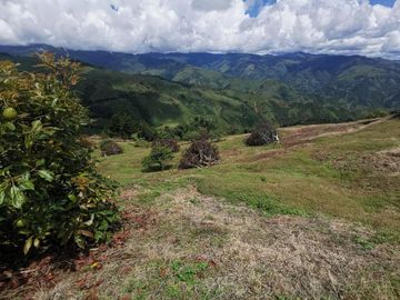 finca en venta en pacora - caldas. Cod V10711
