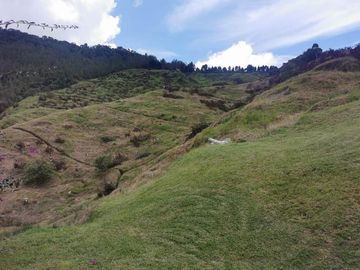 finca en venta en pacora - caldas. Cod V10711
