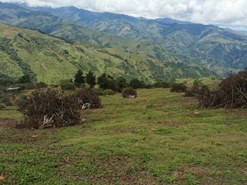 finca en venta en pacora - caldas. Cod V10711