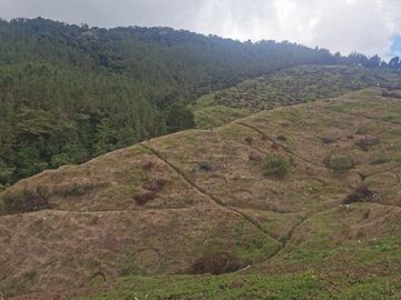 finca en venta en pacora - caldas. Cod V10711