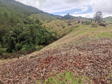 finca en venta en pacora - caldas. Cod V10711
