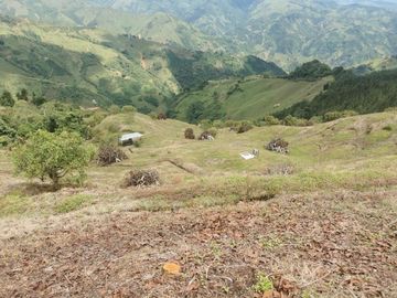 finca en venta en pacora - caldas. Cod V10711