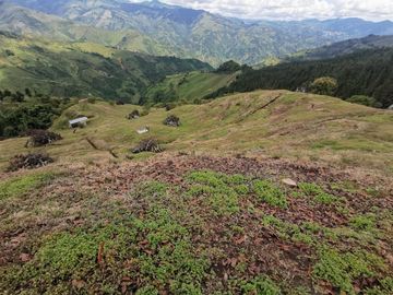 finca en venta en pacora - caldas. Cod V10711