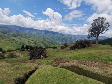 finca en venta en pacora - caldas. Cod V10711