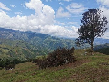 finca en venta en pacora - caldas. Cod V10711