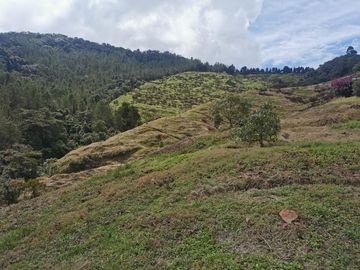 finca en venta en pacora - caldas. Cod V10711