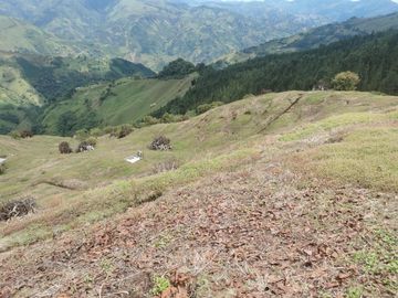 finca en venta en pacora - caldas. Cod V10711