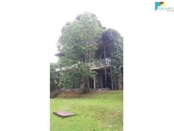 Rumah Artistik Swimming Pool asri Pejaten Jakarta Selatan