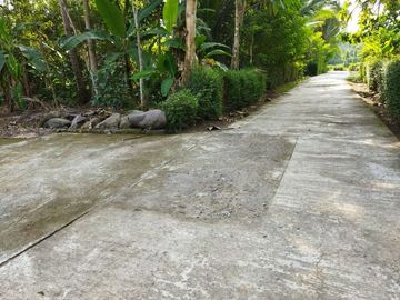 Rumah 1 lantai Dekat Komplek Akmil Desain Bsa Request Custom