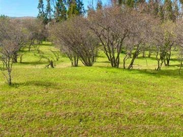 PARCELAS FRENTE A HERMOSA VIÑA A 35 MINUTOS DE PICHILEMU