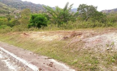 204 Sqm READY FOR BUILDING Lot for Sale near Talamban Cebu City with Mountain View