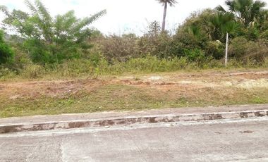 204 Sqm READY FOR BUILDING Lot for Sale near Talamban Cebu City with Mountain View