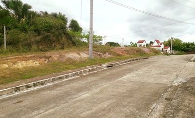 204 Sqm READY FOR BUILDING Lot for Sale near Talamban Cebu City with Mountain View