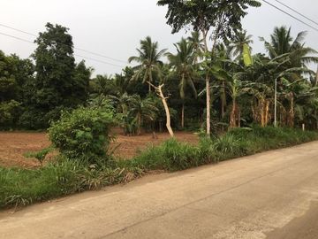 Affordable Farm Below the Market Value!