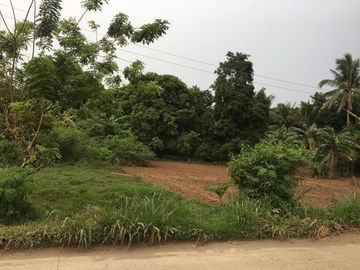 Affordable Farm Below the Market Value!