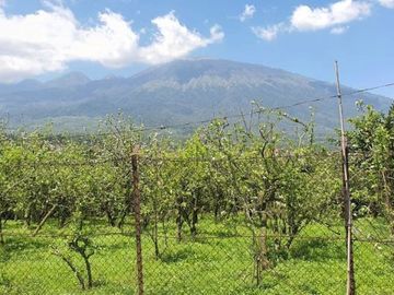 PRODUKTIF, Dijual tanah hunian villa kebun apel
