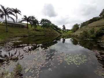 VENTA de CASAS en PEREIRA