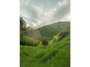 Venta Finca Calarca Quindio COD: 6229964