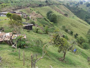 Venta Finca Calarca Quindio COD: 6229964