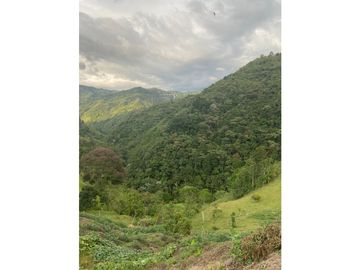 Venta Finca Calarca Quindio COD: 6229964