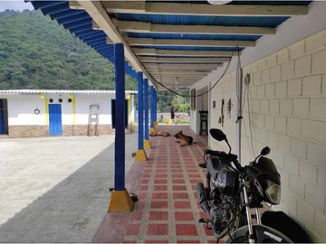 Venta Finca Calarca Quindio COD: 6229964