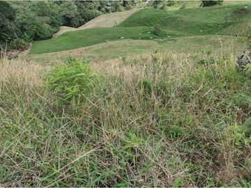 Venta Finca Calarca Quindio COD: 6229964