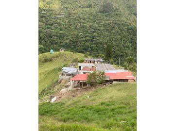 Venta Finca Calarca Quindio COD: 6229964