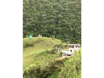Venta Finca Calarca Quindio COD: 6229964