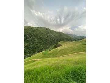 Venta Finca Calarca Quindio COD: 6229964