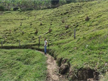 Venta Finca Calarca Quindio COD: 6229964
