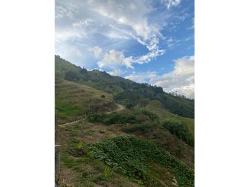 Venta Finca Calarca Quindio COD: 6229964